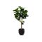Designplants/Luca Lifestyle Lyrata Y Kunstbaum (h:170 cm) mit Grigio Balloon Blumentopf