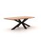 Bellagio Induno Dänisch oval Gartentisch 220x110 cm