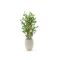 Designplants/Luca Lifestyle Japanischer Bambus Kunstpflanze (h:90 cm) mit Grigio Tall Balloon Blumentopf