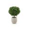 Designplants/Luca Lifestyle Buchsbaum Kugel Kunstpflanze (h:50 cm) mit Grigio Balloon Blumentopf