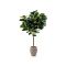 Designplants/Luca Lifestyle Lyrata Y Kunstbaum (h:220 cm) mit Terreno Tall Balloon Blumentopf