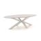 Bellagio Induno Ellips Gartentisch 280x130 cm