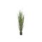 Designplants Schilfgras Kunstpflanze (h: 165 cm)