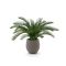 Designplants/Luca Lifestyle Cycas Palme Kunstpflanze (h:60 cm) mit Bordo Balloon Blumentopf