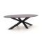 Bellagio Induno Ellips Gartentisch 280x130 cm