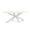 Bellagio Induno Ellips Gartentisch 200x110 cm