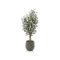 Designplants/Luca Lifestyle Oliven Kunstbaum (h:150 cm) mit Bordo Balloon Blumentopf