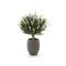 Designplants/Luca Lifestyle Lavendel Kugel Kunstpflanze (h:60 cm) mit Bordo Tall Balloon Blumentopf