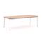 Apple Bee Milou Gartentisch 240x100x76 cm