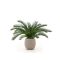Designplants/Luca Lifestyle Cycas Palme Kunstpflanze (h:60 cm) mit Terreno Tall Balloon Blumentopf