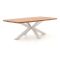 Bellagio Induno Dänisch oval Gartentisch 220x110 cm