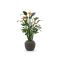 Designplants/Luca Lifestyle Lyrata Y Kunstbaum (h:220 cm) mit Ruvido Organic Blumentopf