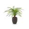 Designplants/Luca Lifestyle Alsophillia Farn Kunstpflanze (h:80 cm) mit Terreno Tall Balloon Blumentopf