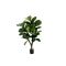 Designplants Lyrata Y Kunstbaum (h: 130 cm)