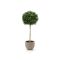 Designplants/Luca Lifestyle Buchsbaum Kugel Kunstbaum (h:110 cm) mit Terreno New Egg Blumentopf - Grün (UV beständig) (Blumentopf = Sand)