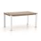 ROUGH-S Gartentisch 160x90x76 cm