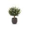 Designplants/Luca Lifestyle Lavendel Kugel Kunstpflanze (h:60 cm) mit Terreno Balloon Blumentopf - Weiß (UV beständig) (Blumentopf = Ash Brown)