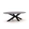 Bellagio Induno Ellips Gartentisch 240x120 cm
