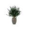 Designplants/Luca Lifestyle Lavendel Kugel Kunstpflanze (h:60 cm) mit Grigio Tall Balloon Blumentopf