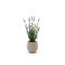 Designplants/Luca Lifestyle Lavendel Kunstpflanze (h:50 cm) mit Bordo Balloon Blumentopf