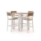 Bellagio Fidenza 80 cm Gartenbar-Set 5-Teilig