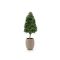 Designplants/Luca Lifestyle Buchsbaum Tower Kunstpflanze (h:110 cm) mit Bordo Tall Balloon Blumentopf