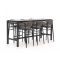 Bellagio Panaro/Trecenta 225 cm Gartenbar-Set 7-teilig