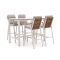 Bellagio Bertinoro/Trecenta 150 cm Gartenbar-Set 5-teilig stapelbar