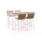 Apple Bee Milou 150 cm Gartenbar-Set 5-teilig