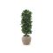Designplants/Luca Lifestyle Lorbeer Säule Kunstpflanze (h:125 cm) mit Ruvido Combi Blumentopf - Grün (UV beständig) (Blumentopf = Sand)
