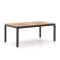 Hartman Concept Esstisch 180x100x75 cm