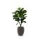 Designplants/Luca Lifestyle Lyrata Y Kunstbaum (h:130 cm) mit Terreno Tall Balloon Blumentopf