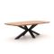 Bellagio Induno Dänisch oval Gartentisch 240x120 cm