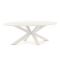 Bellagio Induno Ellips Gartentisch 240x120 cm